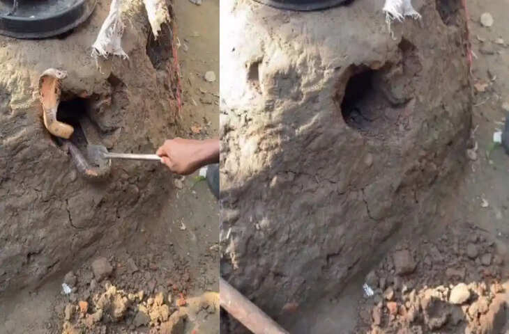 घर के चूल्हे में दिखा &lsquo;नागलोक&rsquo; जैसा हैरान करने वाला नजारा, नजारा देख अटक गई लोगों की सांसें