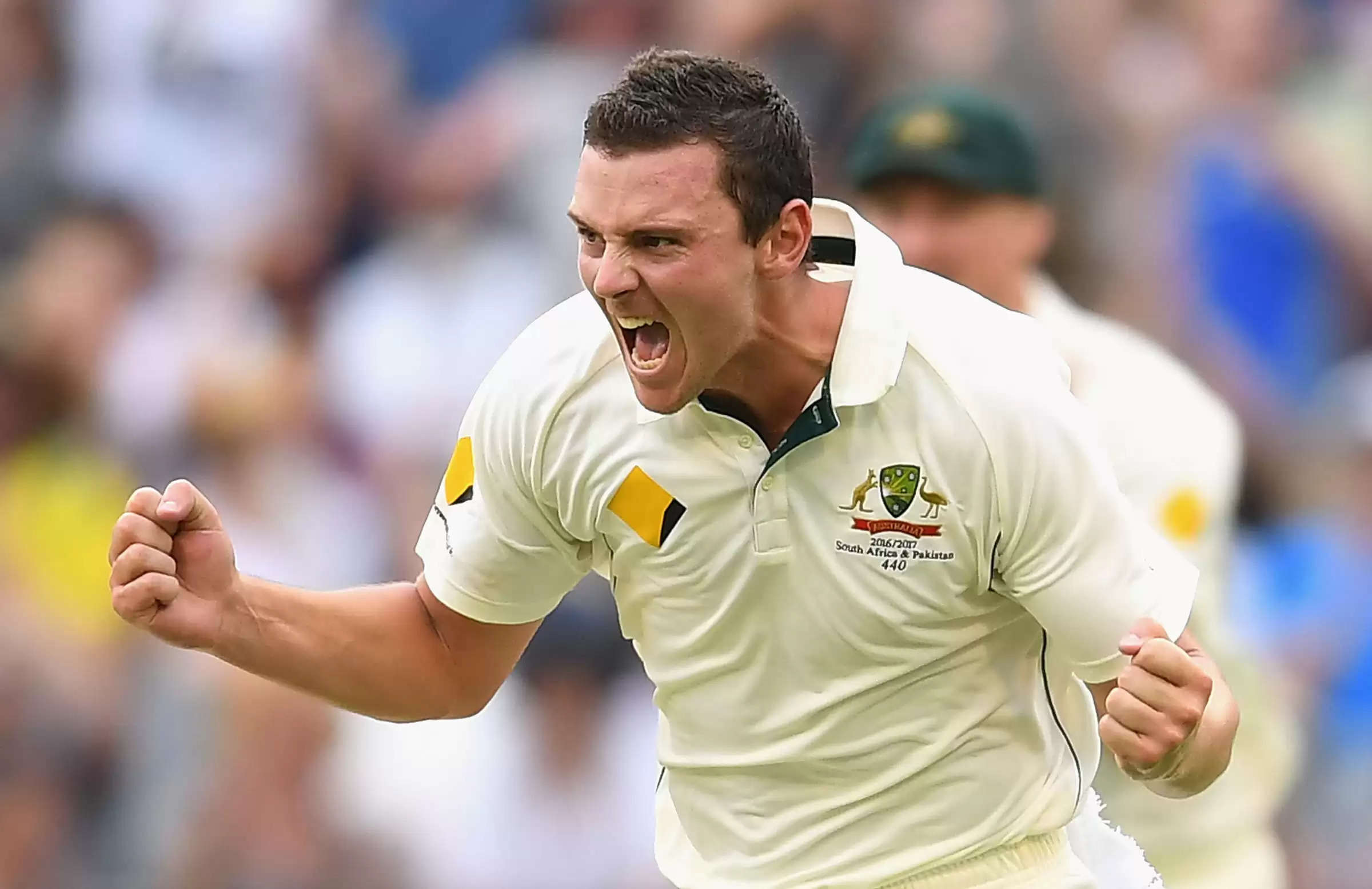 josh hazlewood test wickets