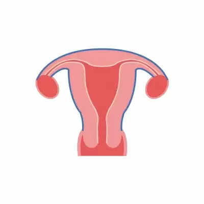 महिलाओं में uterus निकलवाने का चल रहा ट्रेंड, स्वास्थ्य विशेषज्ञ ने जताई चिंता !