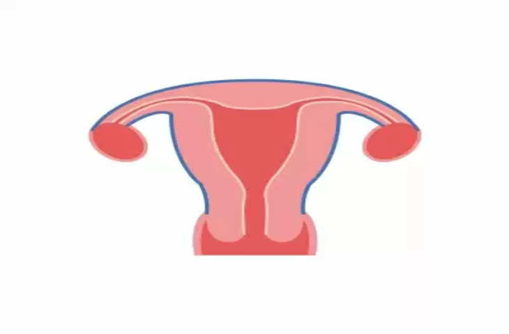 महिलाओं में uterus निकलवाने का चल रहा ट्रेंड, स्वास्थ्य विशेषज्ञ ने जताई चिंता !