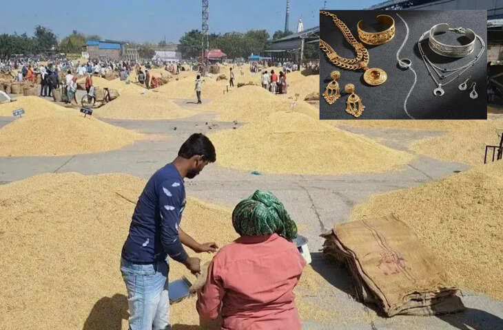 भामाशाह मंडी में बढ़ी आवक, कुछ जिंसों में मंदी तो कुछ में तेजी का रुख