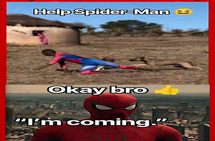 Spider-Man को देखते ही टूट पड़े कुत्ते! कॉस्ट्यूम पहनकर निकले शख्स का हुआ ऐसा हाल, वीडियो देख नहीं रुकेगी हंसी&nbsp;