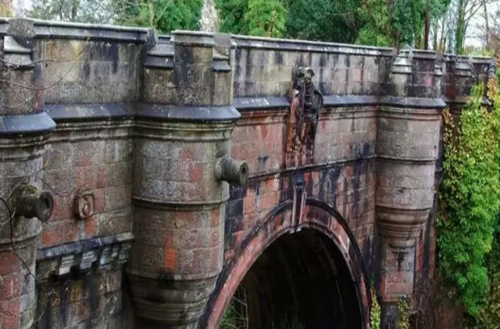 आखिर क्यों, इस रहस्यमयी पुल से कूदकर कुत्ते कर लेते हैं आत्महत्या, कोई नहीं सुलझा पाया रहस्य !