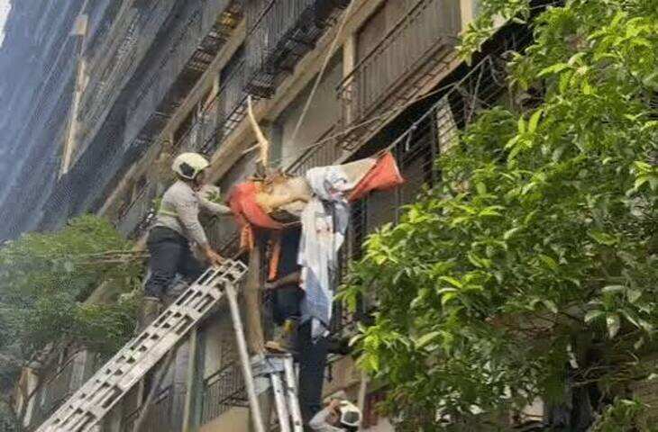 मुंबई में 10वीं मंजिल से कूदी नवविवाहिता, फुटेज में देंखे पेड़ की डाल में फंसकर बची जान; पैर में घुसी मोटी शाखा