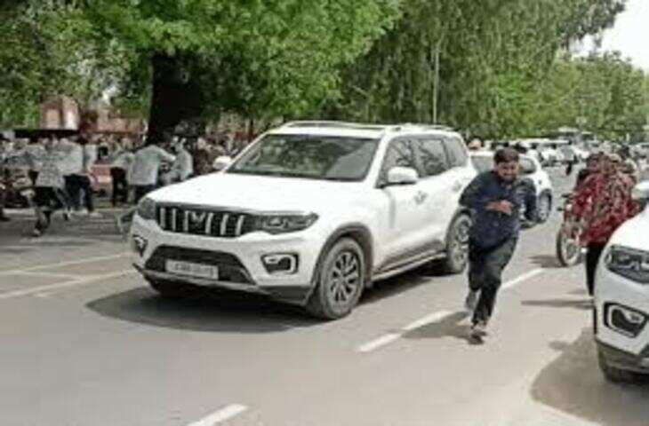 विरोध प्रदर्शन के दौरान मधुमक्खियों का हमला, कांग्रेस कार्यकर्ताओं में अफरा-तफरी