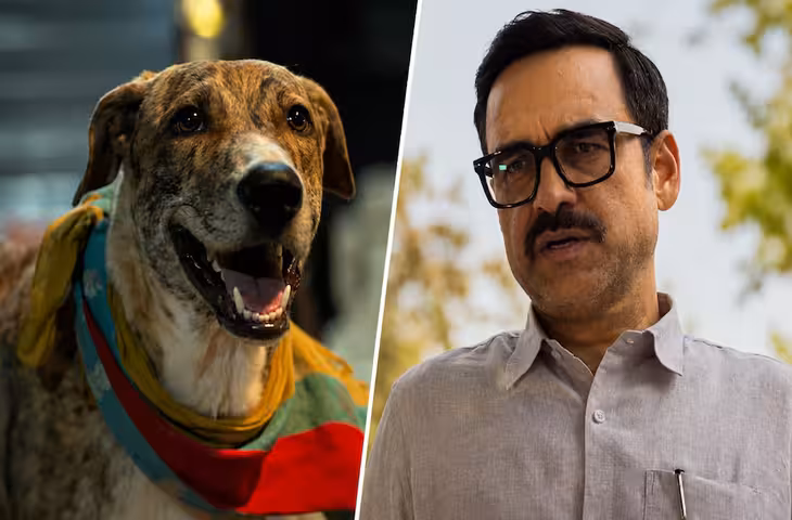Friday Box Office Report: 'स्पाइडर-मैन' की धुआंधार कमाई जारी, 'ओह माय डॉग' का नहीं चला जादू, 'धमाल 4' भी हुई कमजोर