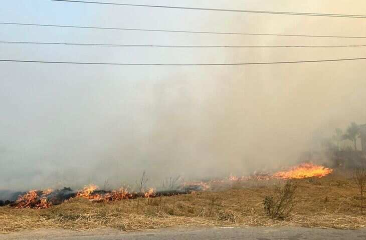 केंद्रीय विश्वविद्यालय ने पीजी, डिप्लोमा पंजीकरण की समय सीमा 2025-26 तक बढ़ाई