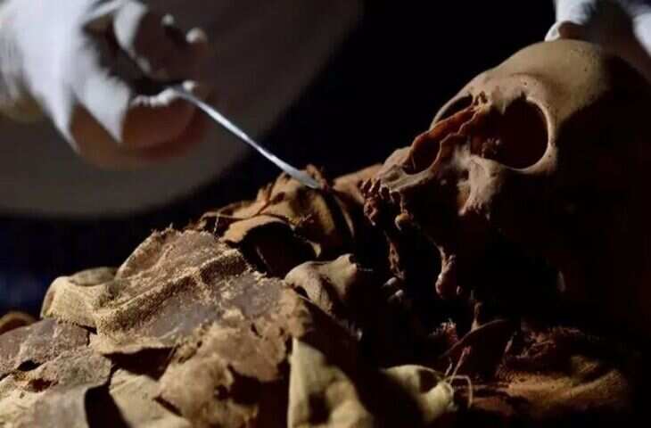 हजारों साल पुरानी ममी के अंदर क्या छिपा था? Egyptian Mummy के CT स्कैन में सामने आए डरावने सच