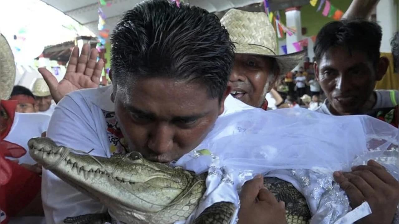 Viral: दुल्हन बनी मगरमच्छ, दूल्हा बना शहर का मेयर! इस अनोखी शादी की वजह जानकर रह जाएंगे दंग