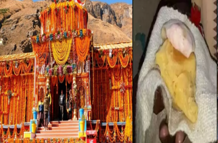 बद्रीनाथ धाम के कपाट खुलते ही दिखा अद्भुत दृश्य, श्रद्धालुओं में उत्साह की लहर; पुरोहितों ने बताया &ldquo;शुभ संकेत&rdquo;