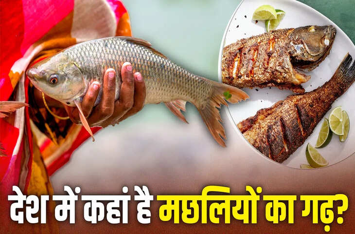 आंध्र प्रदेश में बनेगा देश का नया डिफेंस हब, फाइटर जेट प्रोजेक्ट में होगा 1 लाख करोड़ का निवेश