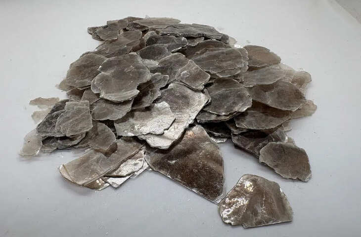 वाणिज्य मंत्री को ज्ञापन: प्रतिबंधित श्रेणी में शामिल करने के प्रस्ताव का विरोध, लाखों रोजगार पर संकट की चेतावनी