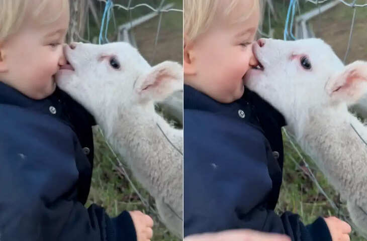 44 मिलियन व्यूज वाला Instagram Viral Video, जानें आखिर इसमें ऐसा क्या जो हो रहा इतना वायरल&nbsp;