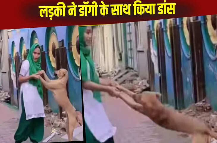 लड़की बनाने लगी कुत्ते के साथ रील, नहीं मिला पार्टनर तो डॉगी के साथ किया डांस, Video Viral