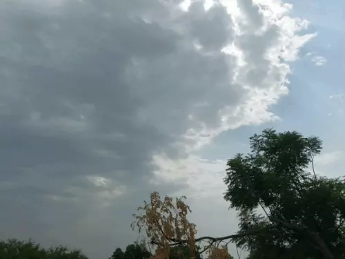 दौसा में बदला मौसम, सुबह हल्की ठंड तो दोपहर में तेज धूप; दिन-रात के तापमान में अंतर से बढ़ी परेश