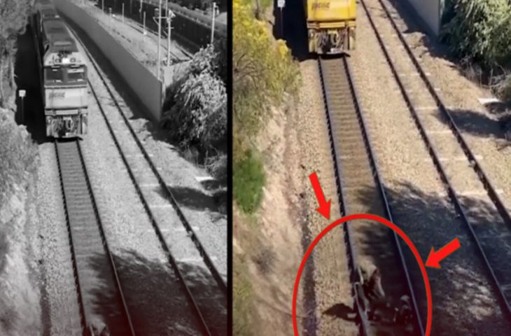 कुत्ते की जान बचाने के लिए तेज रफ्तार ट्रेन के आगे कूद गया शख्स, देखिए फिर क्या हुआ