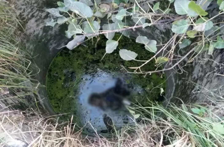 Jhunjhunu में सालभर से लापता व्यक्ति का मिला कंकाल, कुएं में मिली लाश     