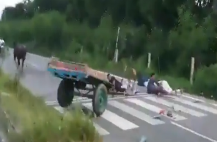 रेस जीतने के लिए भैंसे की पिटाई कर रहा था सवार, जब जानवर को आया गुस्सा तो कैसे लिया बदला