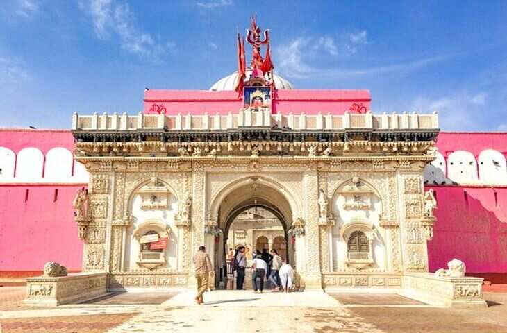 VIDEO बीकानेर का करणी माता मंदिर क्यों है दुनिया में अनोखा, 25 हजार चूहों से जुड़ी है सदियों पुरानी धार्मिक मान्यता