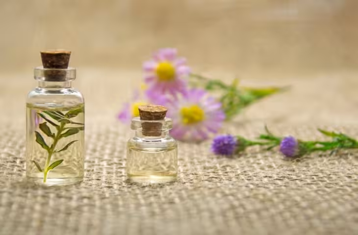 Essential Oil Benefits: घर में सकारात्मक ऊर्जा और खुशहाली के लिए इस्तेमाल करें ये 5 एसेंशियल ऑयल, जानें फायदे