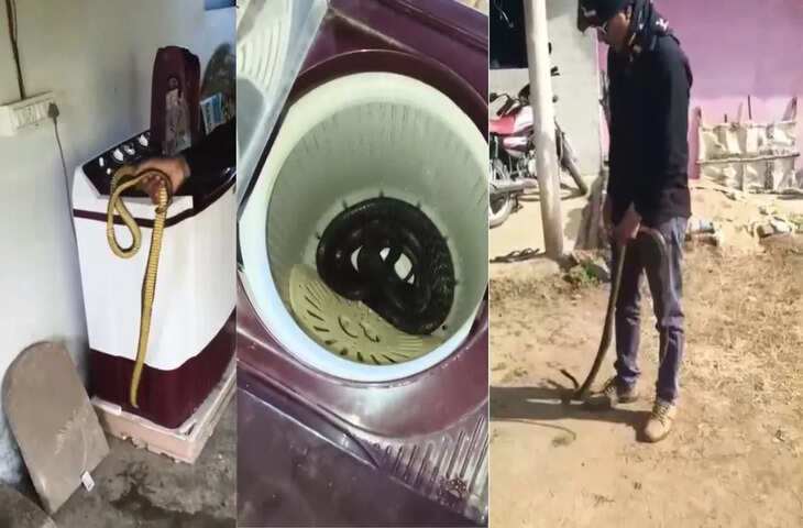 कपड़ों की धुलाई जरा संभलकर! वाशिंग मशीन से निकला 7 फीट लंबा सांप, घरवालों के उड़ गए होश