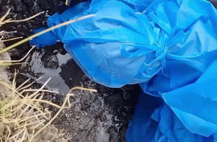 उत्तराखंड में 8300 साल पुरानी मानव बसावट के मिले प्रमाण, वीडियो में जाने IIT रुड़की की रिसर्च ने बदली इतिहास की धारणा