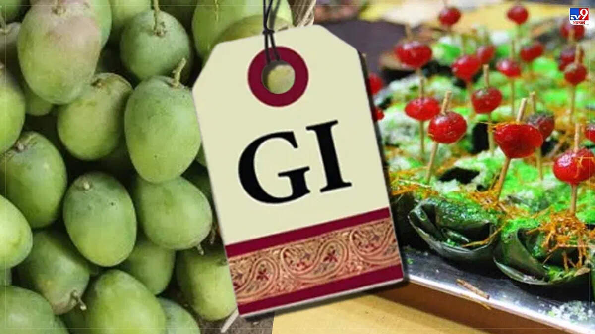 What is GI tag? Which will now also be used in Langda Mango and