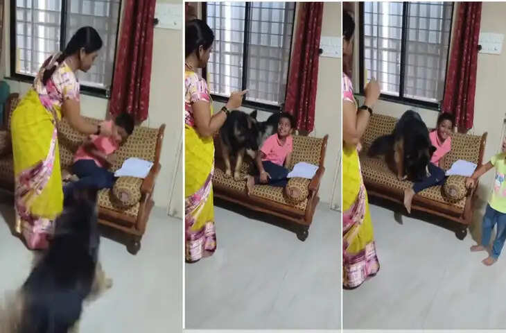 बच्चे को बार-बार डांट रही थी मां, फिर कुत्ते ने जो किया उसने सबका दिल जीत लिया