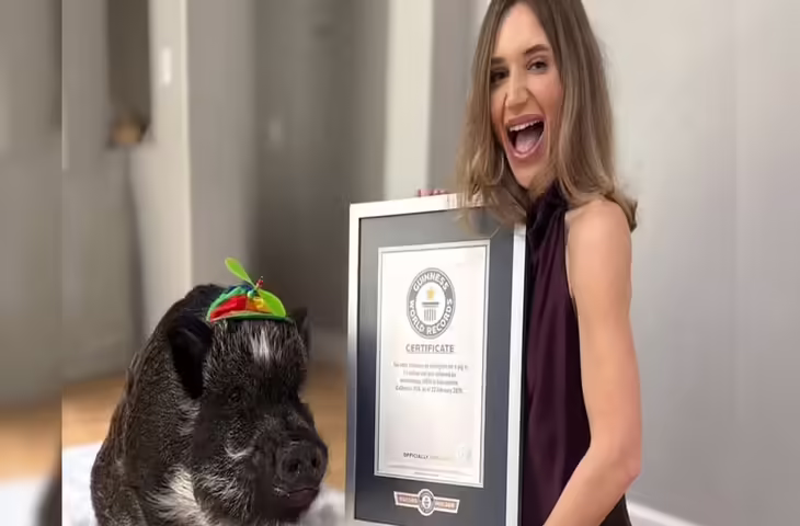 82 किलो का स्मार्ट पिग अपने मालिक से बटन दबाकर करता है बात दिनीज बुक में दर्ज है नाम, देखे वीडियो&nbsp;