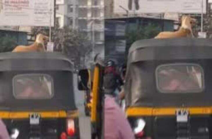 ऑटो चालक का दिल छू लेने वाला वीडियो वायरल, लोगों ने की जमकर तारीफ