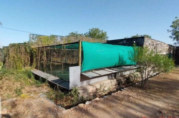 भीषण गर्मी से वन्यजीवों की सुरक्षा के लिए बायोलॉजिकल पार्क में विशेष इंतजाम, 280 जानवरों के लिए ठंडक की व्यवस्था