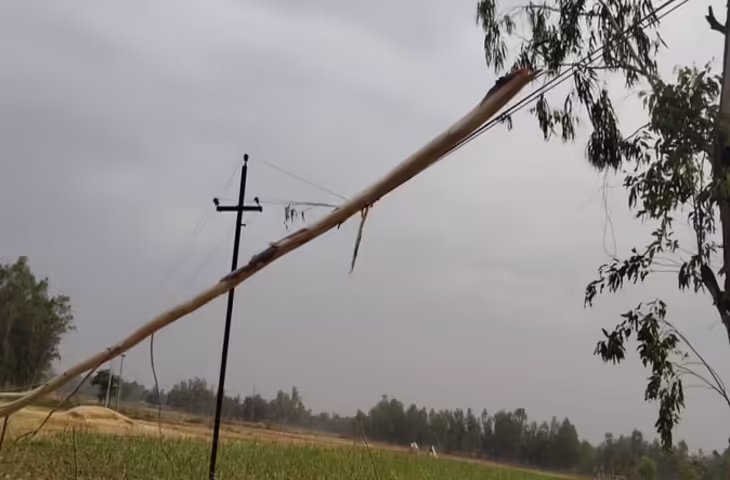  तेज आंधी और बूंदाबांदी के बीच कई जगह पेड़ धराशायी, बिजली गिरने से किशोरी की मौत