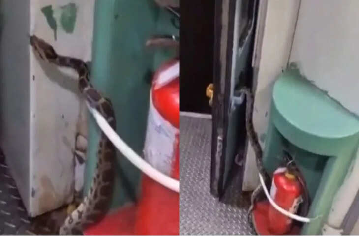 ट्रेन में टॉयलेट के पास छिपा था अजगर, देखते ही सहम गए यात्री और वायरल कर दिया Video