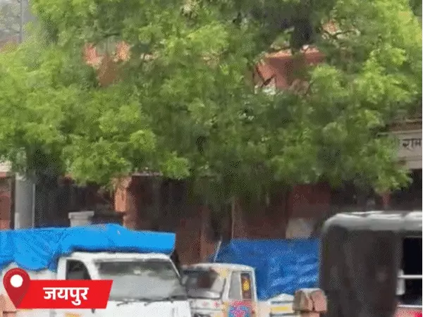 राजस्थान में बारिश का दौर जारी, जयपुर-सीकर समेत कई जिलों में बरसे बादल; भरतपुर में स्कूलों की छुट्टी
