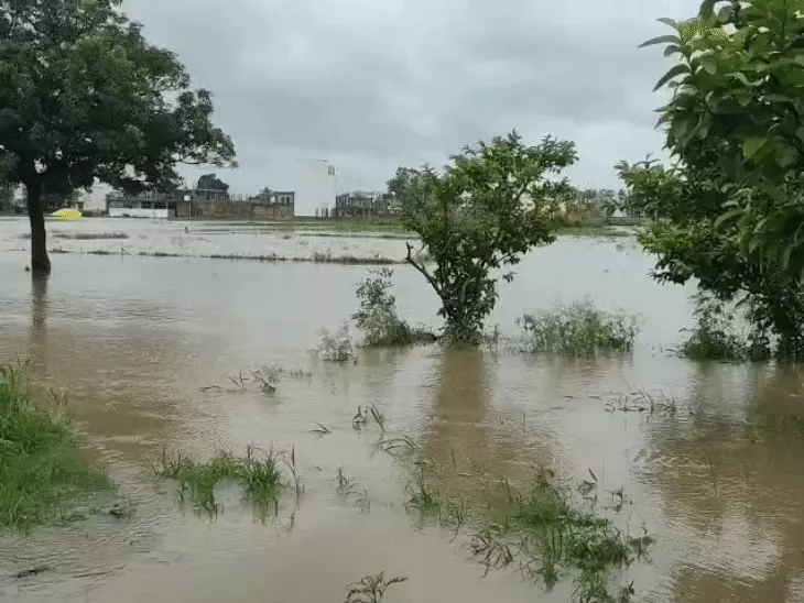 भोपाल में 24 घंटे में 7 इंच बारिश: इस सीजन में पहली बार इतनी बारिश, 50 से ज्यादा इलाके जलमग्न; राहत के साथ आफत भी