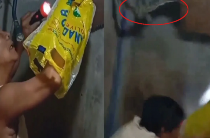 बाथरूम की छत से सांप ने अचानक कर दिया शख्स पर हमला, नजारा देखकर डर से छूट जाएंगे पसीने