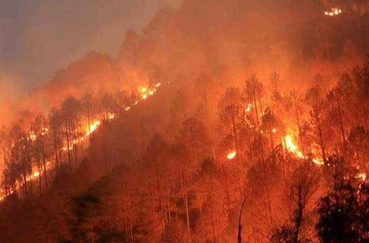 उत्तराखंड में धधक रहे जंगल, एक दिन में 37 जगह भड़की आग; 150 से ज्यादा फायर अलर्ट जारी