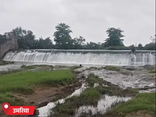 MP में फिर बदला मौसम, जबलपुर समेत 22 जिलों में आज भारी बारिश का अलर्ट; सतना में स्कूल-कॉलेज बंद