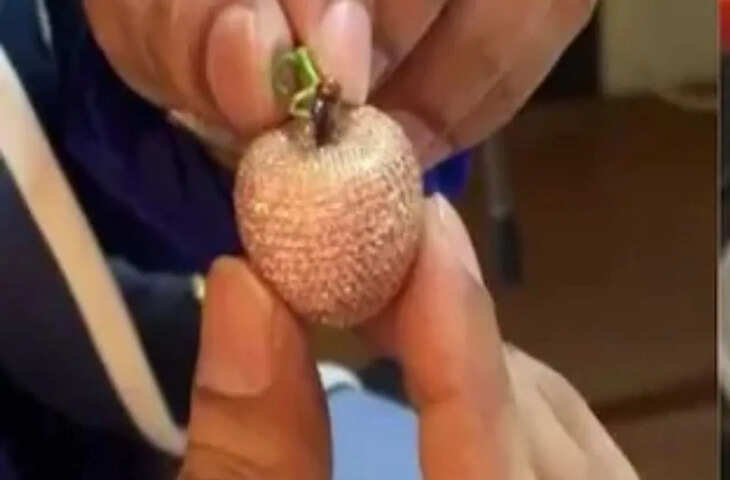 10 करोड़ का एक &lsquo;सेब&rsquo;&hellip;इन खास चीजों से हुआ है तैयार, अब दुनिया देख रही है चमक