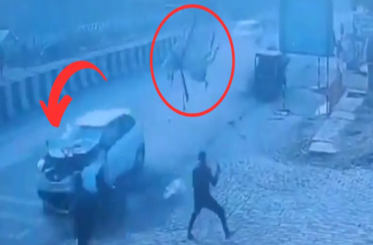 तेर रफ्तार कार ने घोड़ा बग्गी को मारी टक्कर, गेंद की तरह हवा उछला घोड़ा, कई फीट दूर जाकर गिरा