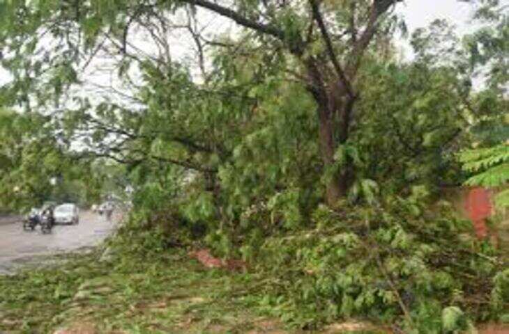 कोटा में अचानक बदले मौसम ने शादी समारोह में मचाई अफरा-तफरी, वीडियो में देंखे तेज बारिश-आंधी से आयोजन अस्त-व्यस्त