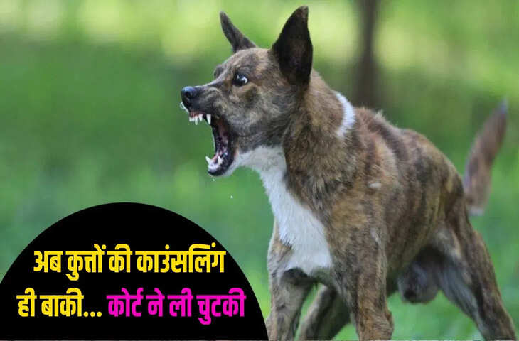 जब सुप्रीम कोर्ट में सिब्बल ने कहा- मुझे कुत्ते नहीं काटते हैं, जज बोले- आप खुशकिस्मत हैं लेकिन&hellip;