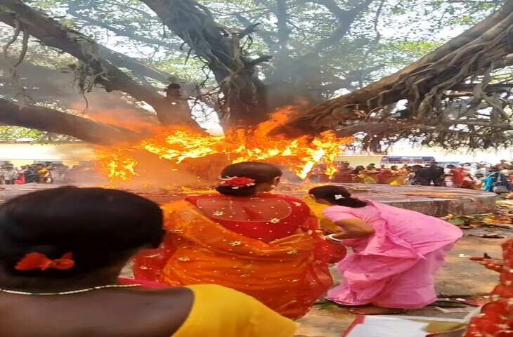 Viral Video: आस्था या बेवकूफी? पेड़ में आग लगी होने के बावजूद महिलाएं देती रहीं दीया, वीडियो वायरल