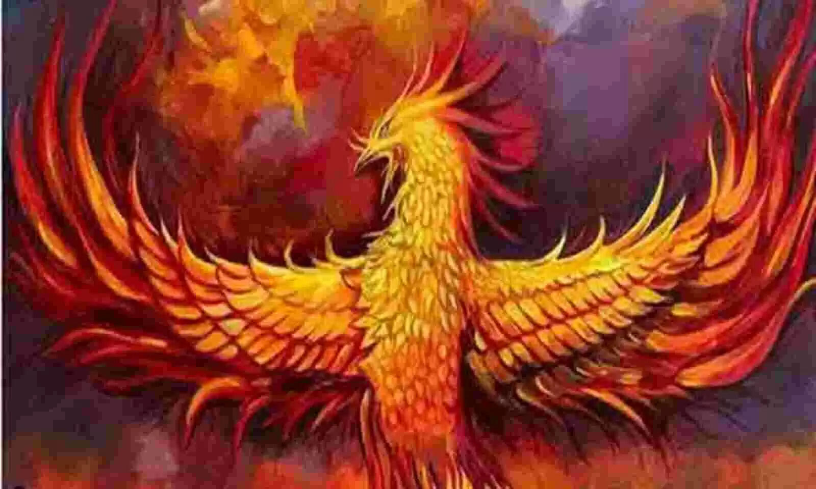 Best vastu tips for home keep phoenix bird photo in south direction to get positivety and success