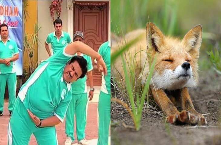 Yoga Day Viral: सोशल मीडिया पर छाए अनोखे योगासन, वायरल वीडियो देख नहीं रुकेगी आपकी हंसी&nbsp;
