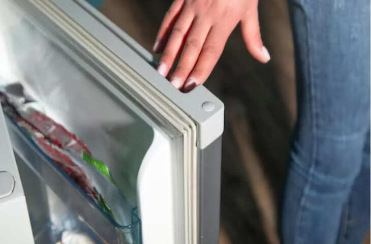 फ्रिज के दरवाजे पर लगी रबर का क्या है असली काम? जानिए इसका दिलचस्प कारण