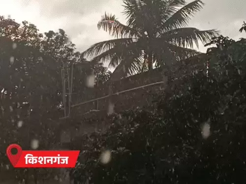 बिहार में बारिश का कहर, गया-जमुई समेत 9 जिलों में तेज बारिश; पटना में सड़कों पर 3 फीट पानी, 19 जिलों में अलर्ट