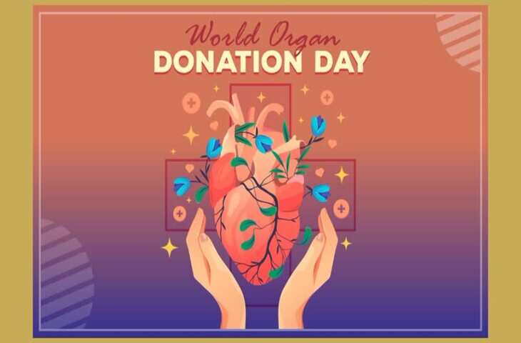 13 अगस्त को ही क्यों मनाते हैं अंगदान दिवस? जानिए World Organ Donation Day 2025 का इतिहास और थीम