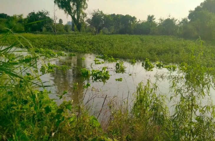 बिठूर के कटरीक्षेत्र में बाढ़ का खतरा बढ़ा, गंगा का जलस्तर बढ़ा