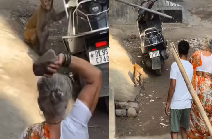बंदर को छेड़ना दादी को पड़ा महंगा! शरारती बंदर ने पलटकर लिया ऐसा बदला, Viral Video देख लोटपोट हुए लोग